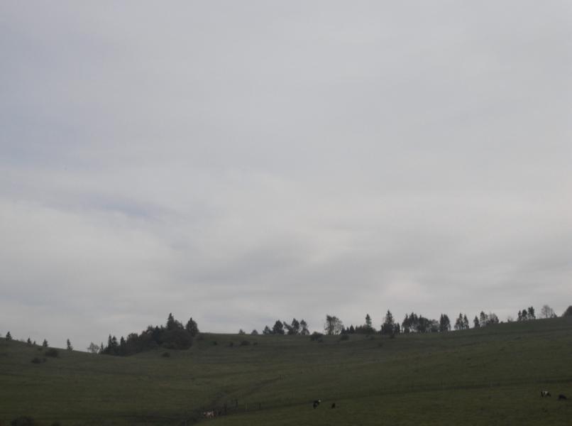 K800_RIMG0278.JPG