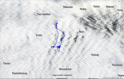 Satellitenbild mit Flugspur, 29.1.18