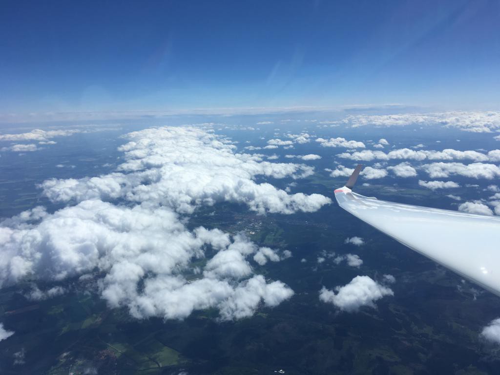 Bild 5 (174-1204LT): Nochmal Blick Richtung Ost, die Sekundärlücke ist zu erkennen, die primäre Lücke ist schon von Cu-Wolkenstraßen gestört.