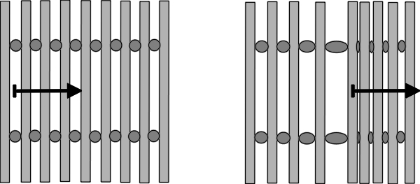 Longitudinalwelle